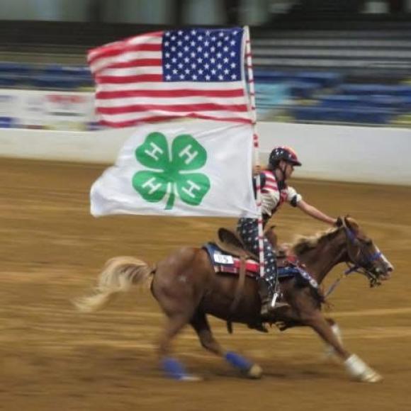 SOUTH BOSTON SPEEDWAY / Halifax Fun Horse Show 07-26-2025
