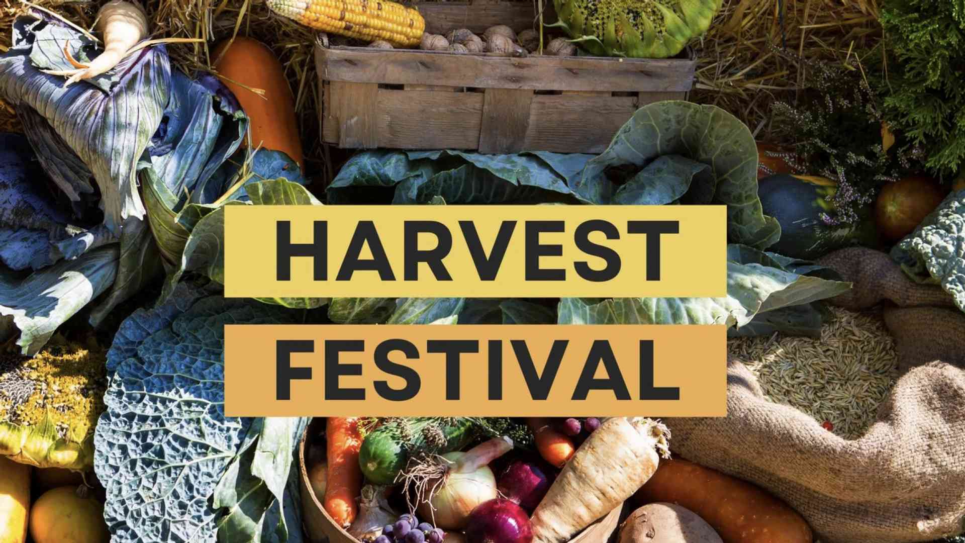 TOWN OF CLARKSVILLE: Harvest Days Festival